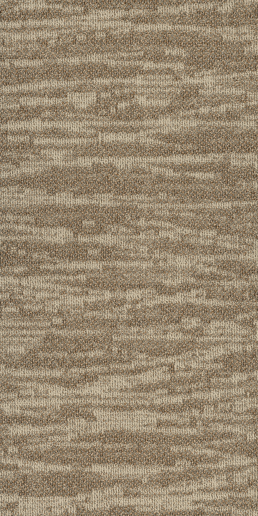 Tidewater-Dunes-54849_00214