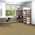TIDEWATER-54849-MONADNOCK-00220-room-image