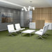 TIDEWATER-54849-TAIGA-00315-room-image