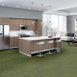 TIDEWATER-54849-TAIGA-00315-room-image