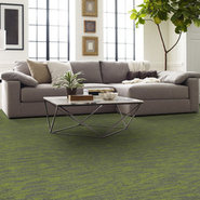 TIDEWATER-54849-TAIGA-00315-room-image