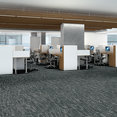 TIDEWATER-54849-ARCHIPELAGO-00408-room-image