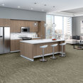 TIDEWATER-54849-SUMMIT-00500-room-image