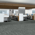 TIDEWATER-54849-GLACIER-00510-room-image