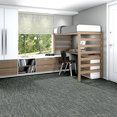 TIDEWATER-54849-GLACIER-00510-room-image