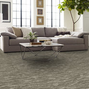TIDEWATER-54849-PINGO-00702-room-image