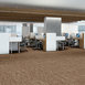 TIDEWATER-54849-MESA-00801-room-image