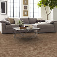 TIDEWATER-54849-MESA-00801-room-image