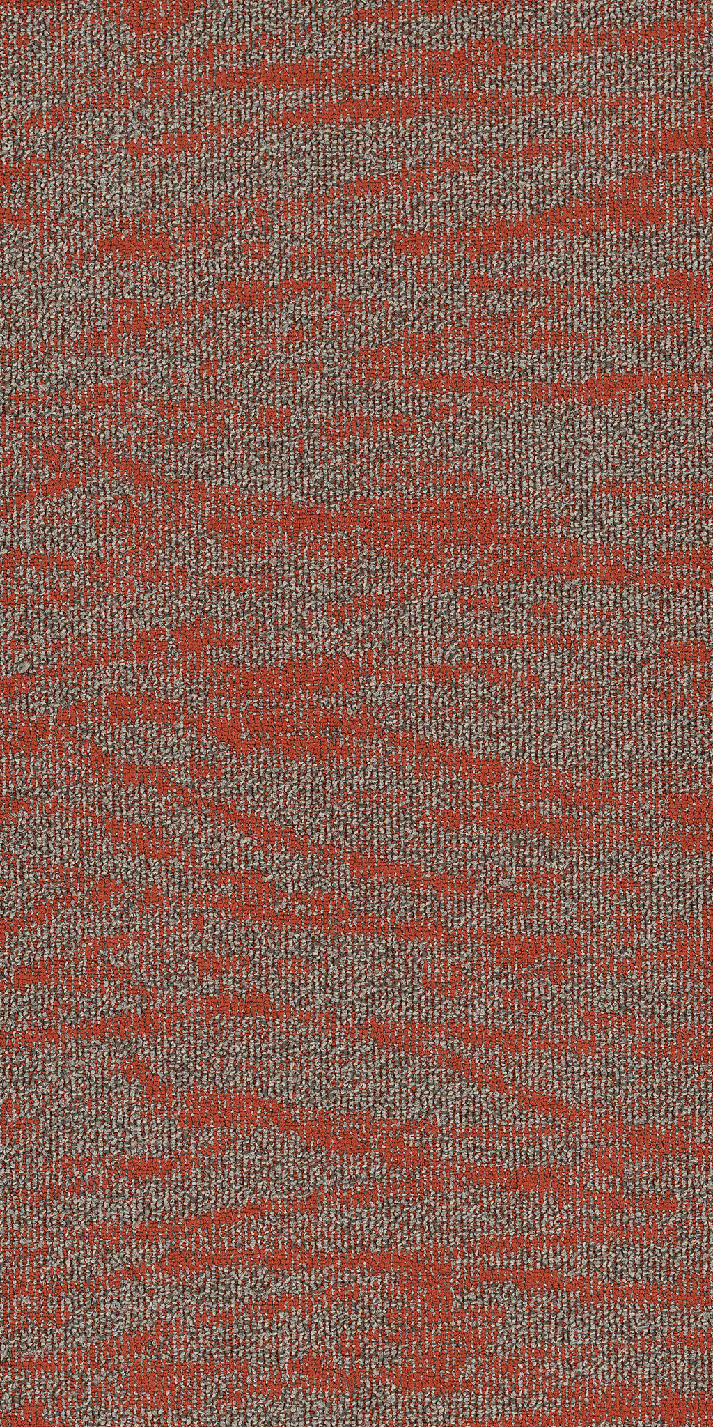 Tidewater-Miombo-54849_00816