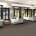 ANTIQUE-CHARM-54851-DURHAM-00520-room-image