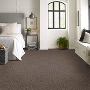 ANTIQUE-CHARM-54851-WINDSOR-00710-room-image