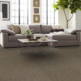 DYNAMO-54857-SCHOLARLY-57705-room-image