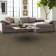 DYNAMO-54857-SCHOLARLY-57705-room-image