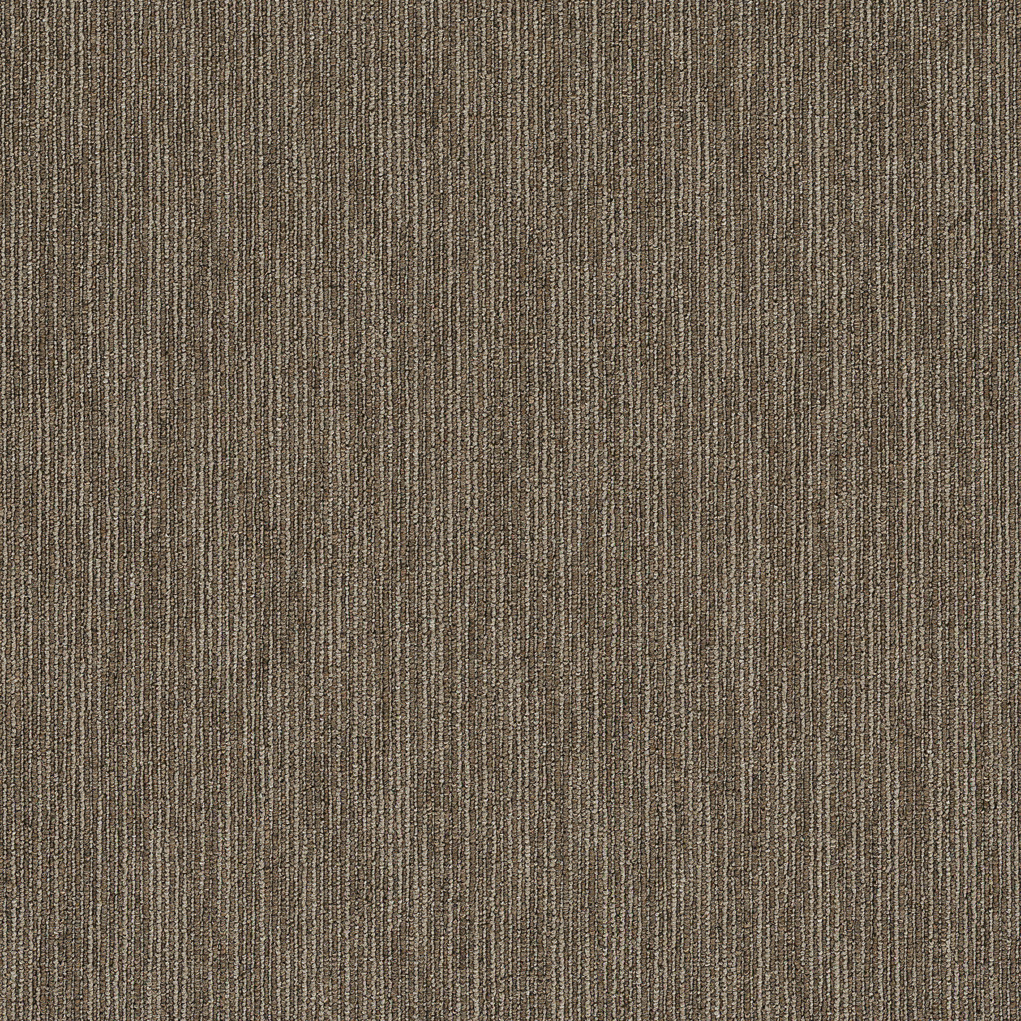 Dynamo - Scholarly - 54857_57705