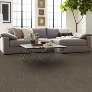 DYNAMO-54857-SMARTS-57710-room-image