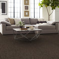 STEP-RIGHT-IN-54860-STRIDE-00206-room-image