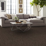 STEP-RIGHT-IN-54860-STRIDE-00206-room-image