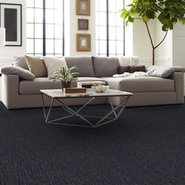 STEP-RIGHT-IN-54860-STROLL-00404-room-image
