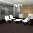 STEP-RIGHT-IN-54860-SASHAY-00502-room-image