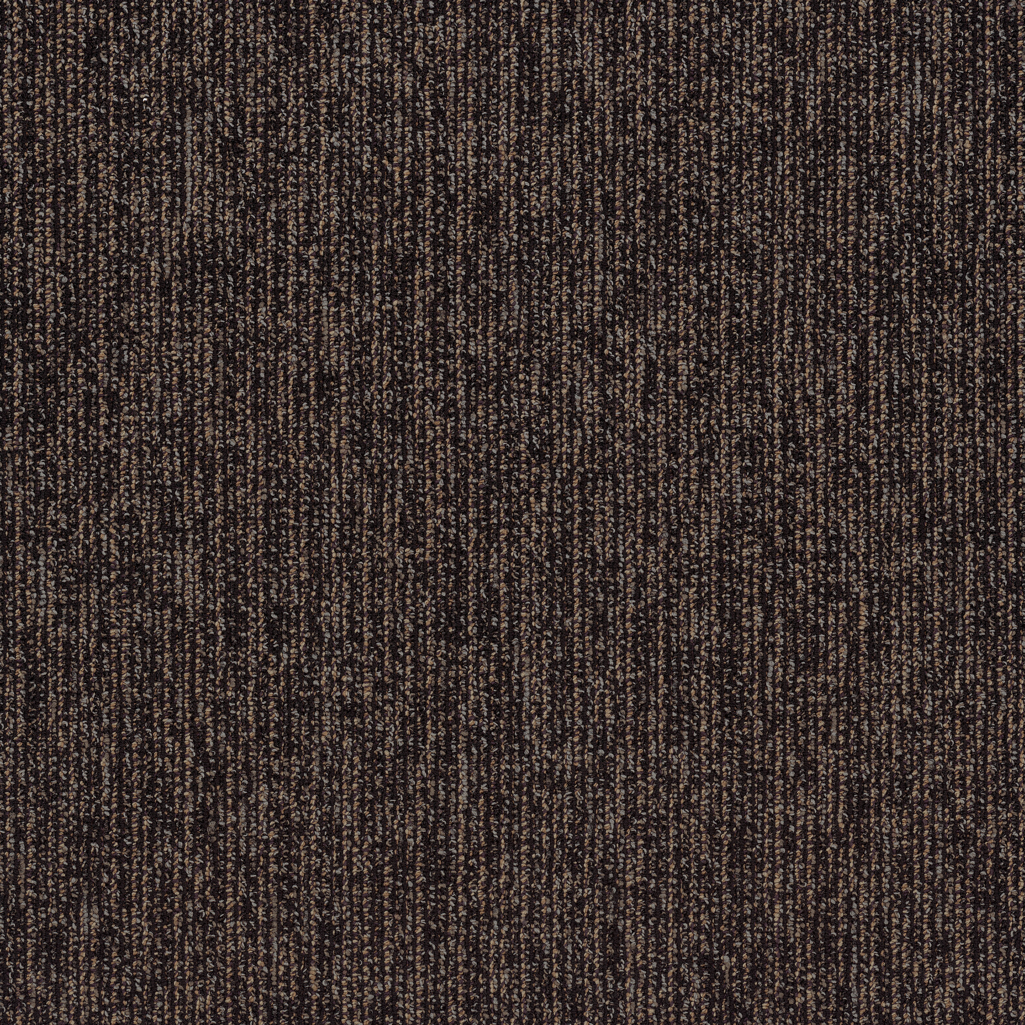 Step Right In-Sashay-54860_00502