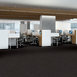 STEP-RIGHT-IN-54860-SAUNTER-00700-room-image