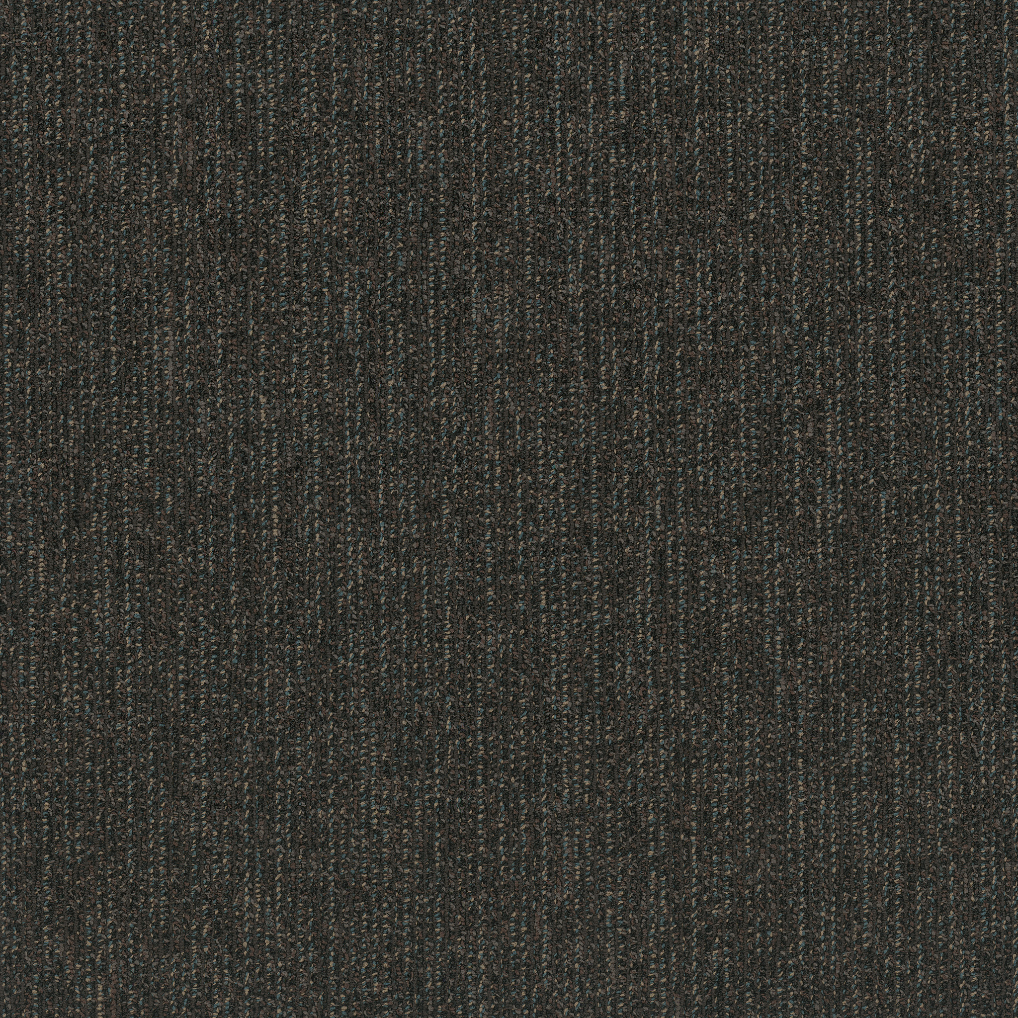 Step Right In-Saunter-54860_00700