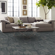 CHISELED-54870-IMAGINE-00300-room-image