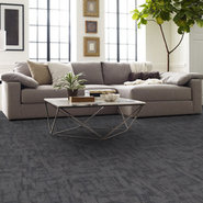 CRACKLED-54871-SCULPT-00400-room-image
