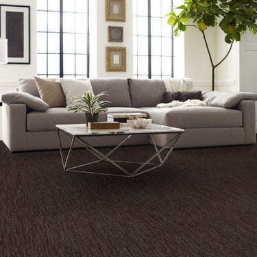 トゥー・ディケイズ・オブ・ハードフロアー/HARDFLOOR Succession Ii Tl 54695 in color Dark Earth | Commercial Carpet Tile