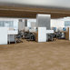 HARMONY-54874-CADENCE-00200-room-image