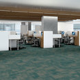 HARMONY-54874-TEMPO-00305-room-image