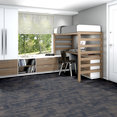 HARMONY-54874-EUPHONY-00400-room-image