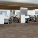 HARMONY-54874-DIAPASON-00501-room-image