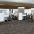 HARMONY-54874-ARIA-00507-room-image