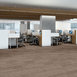 MEDLEY-54875-UNITY-00100-room-image
