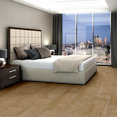 MEDLEY-54875-CADENCE-00200-room-image