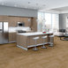 MEDLEY-54875-CADENCE-00200-room-image