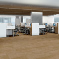 MEDLEY-54875-CADENCE-00200-room-image