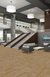 MEDLEY-54875-CADENCE-00200-room-image
