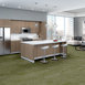 MEDLEY-54875-EMPHASIS-00300-room-image