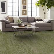 MEDLEY-54875-EMPHASIS-00300-room-image