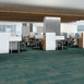 MEDLEY-54875-TEMPO-00305-room-image