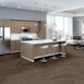 MEDLEY-54875-CHIME-00500-room-image