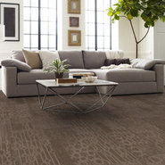 MEDLEY-54875-CHIME-00500-room-image