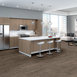 MEDLEY-54875-DIAPASON-00501-room-image