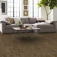 MEDLEY-54875-TONALITY-00700-room-image