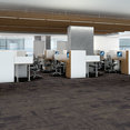 MEDLEY-54875-INTONATION-00900-room-image