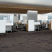 MEDLEY-54875-INTONATION-00900-room-image