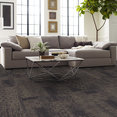 MEDLEY-54875-INTONATION-00900-room-image