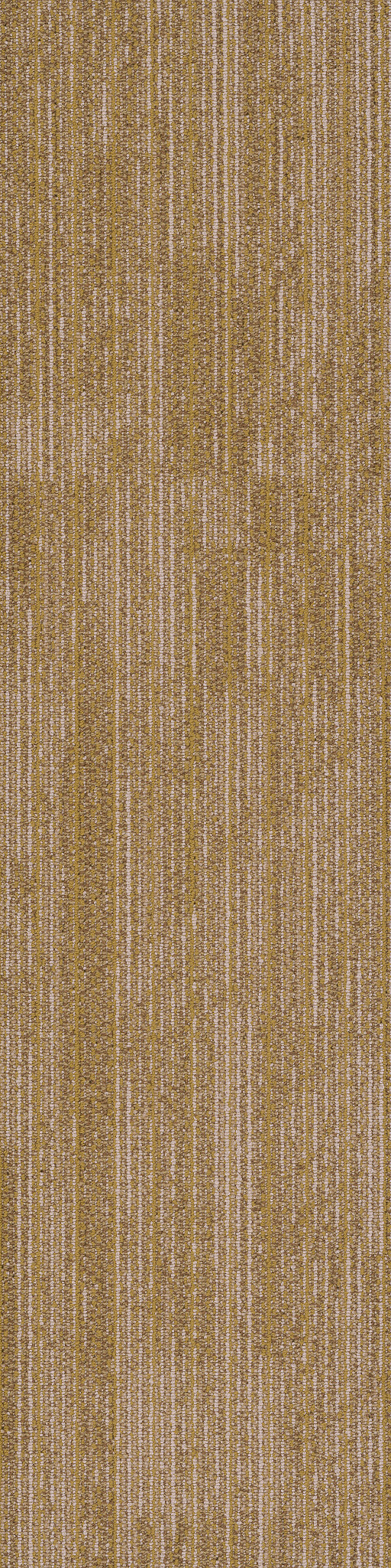 Rhythm-Cadence-54876_00200